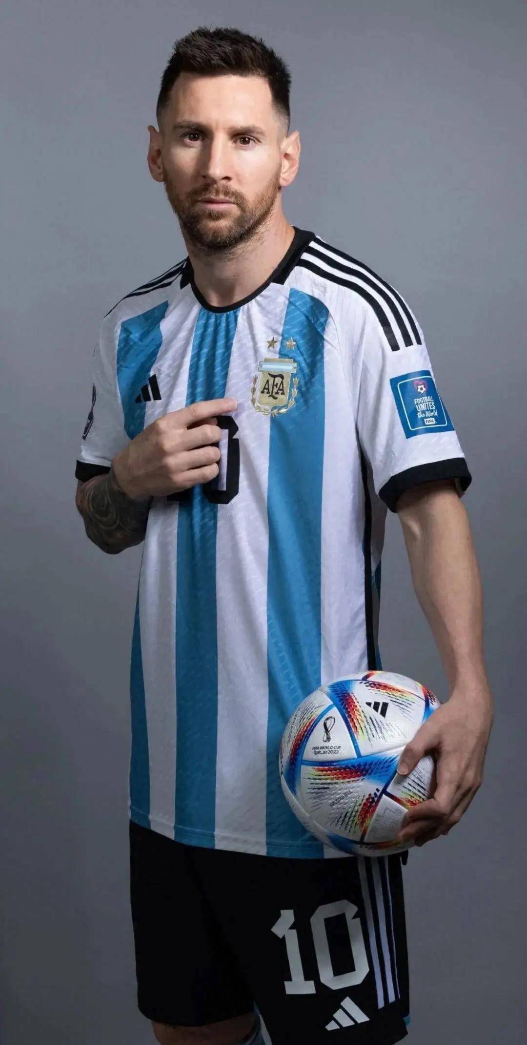 提供了新的 提供了新的