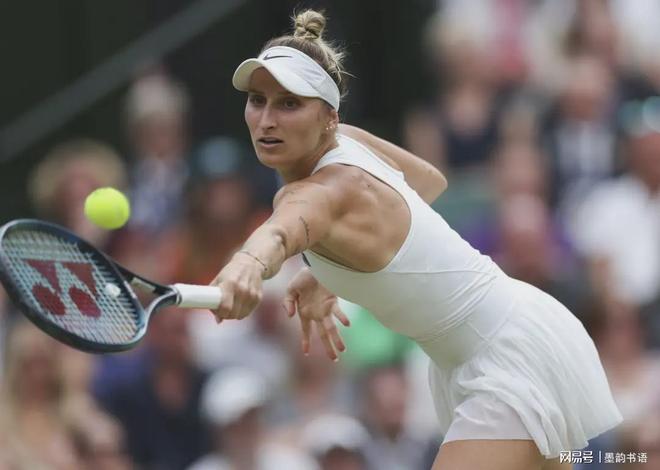 供了可靠的 供了可靠的